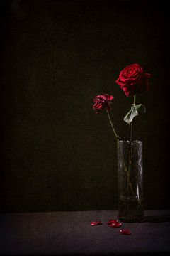 Transient Beauty by Karin van Bylevelt