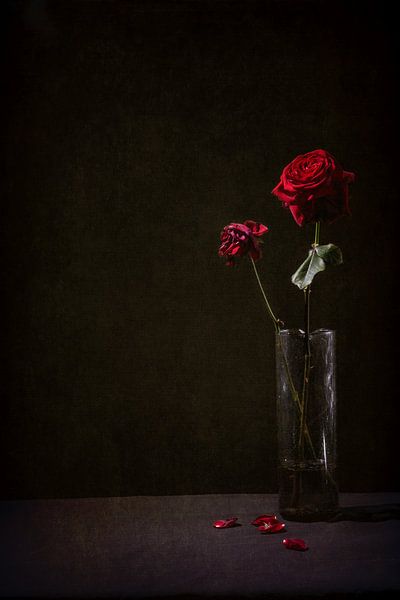 Transient Beauty by Karin van Bylevelt