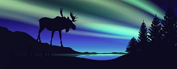 Standing in the Northern Light