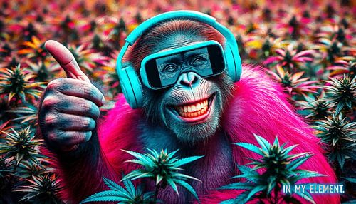 Monkey - thumbs up, headphones & IN MY ELEMENT, chimpanzees in the cannabis field (3) by AidasignArt