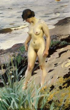 Anders Leonard Zorn,Sandhamn-onderzoek