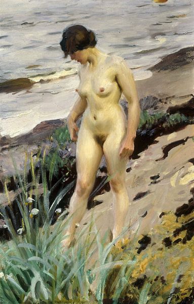 Anders Leonard Zorn, Sandhamn Forschung von finemasterpiece