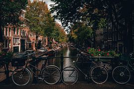 Amsterdam sur The Wild Scribe Prints