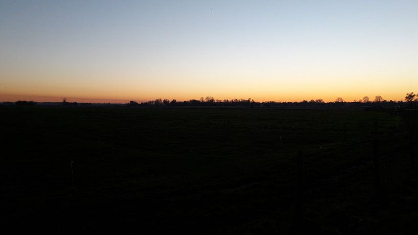 yellow dessert by chris goedhart