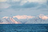 Landschaft Norwegen