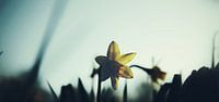 Springtime.