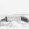 Winters beeld in de Alblasserwaard van Beeldbank Alblasserwaard