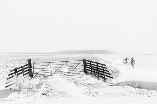 Winters beeld in de Alblasserwaard