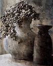 Jug and pitcher by Wil Vervenne thumbnail