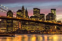 NEW YORK CITY 14