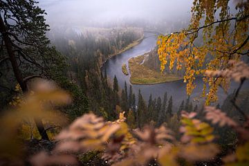 Finnish Fall Frame by Vincent Croce