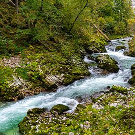 Fluss Radovna in der Vintgar-Schlucht (Slowenien) von Jessica Lokker