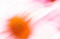 It's a Blur Art Print