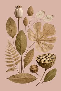 Getrocknete Blumen in Beige und Puderrosa