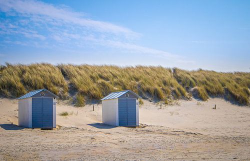 Beach houses in the dunes on the beach Breskens Zeeland