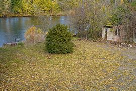 Autumn on the Saale in Halle Saale in Germany
