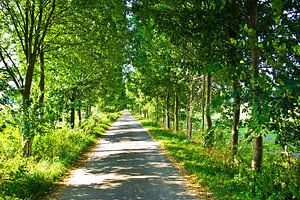 Der Weg