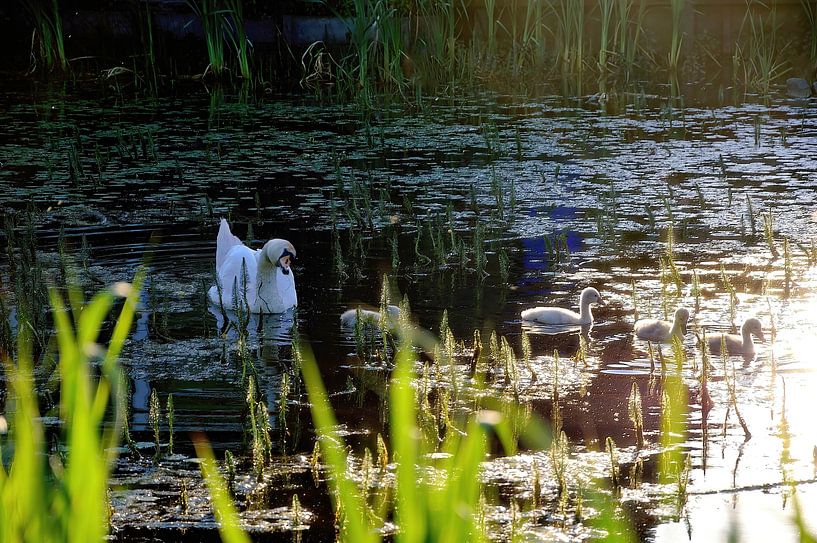 Don't be afraid of the light kids by Frank's Awesome Travels