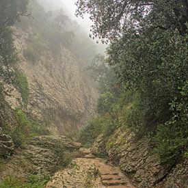Chemin à travers les montagnes brumeuses de Montserrat sur Kristof Lauwers