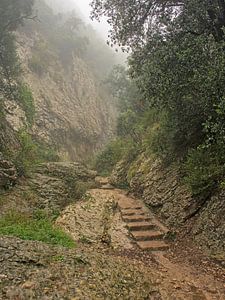 Weg durch die nebligen Berge von Montserrat