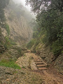 Weg durch die nebligen Berge von Montserrat