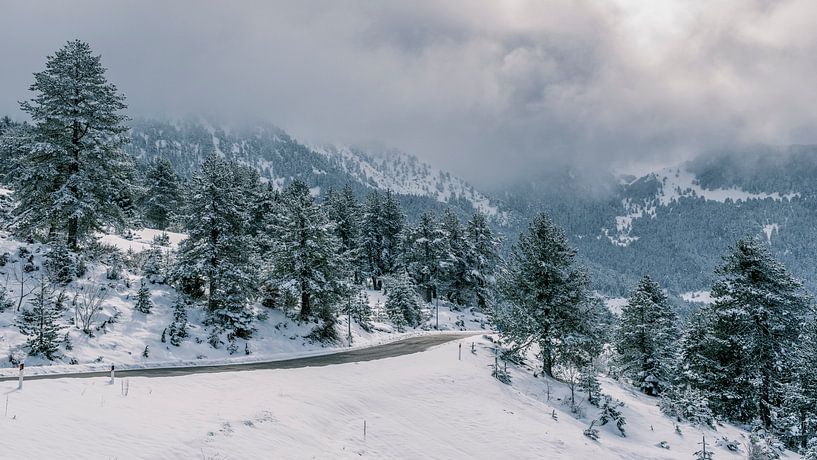 Griechische Winterlandschaft bei Metsovo II von Teun Ruijters