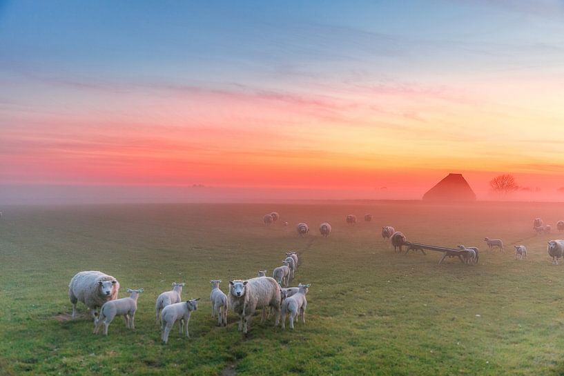 Texel - De Hoge Berg par Johan Habing