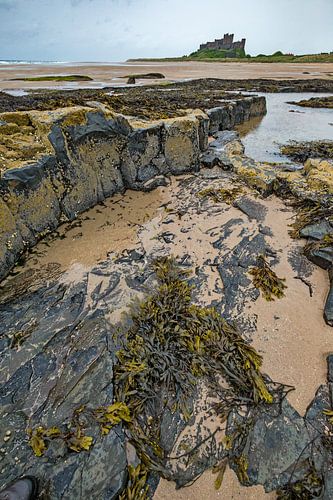 Landschap aan de kust in Oost Engeland met in de achtergrond kasteel Bamburgh