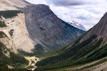 Icefields Parkway by Christa Thieme-Krus