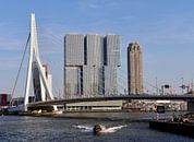 Erasmusbrug, Rotterdam van Julia Wezenaar thumbnail