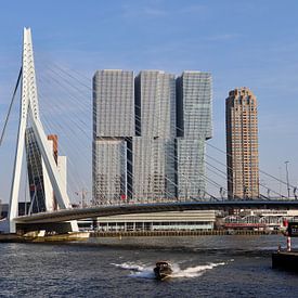 Erasmusbrug, Rotterdam von Julia Wezenaar