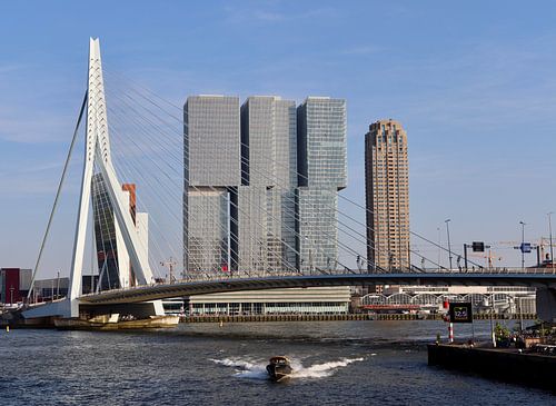 Erasmusbrug, Rotterdam