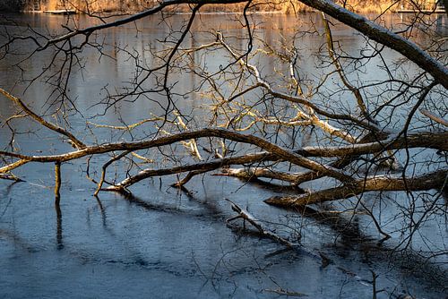 Deer Winter a tout sous contrôle