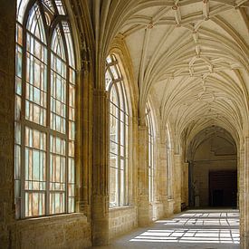 Spring sun in a Spanish cathedral by Frans Nijland