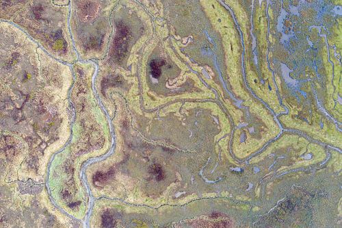 Het verdronken land van Saeftinghe