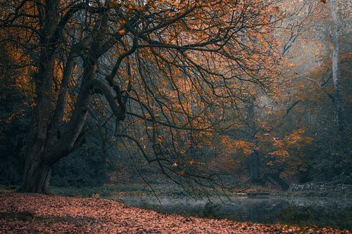 Mystischer Baum