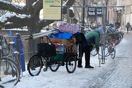 Stadshelden van Utrecht, Stadsheld no. 20
