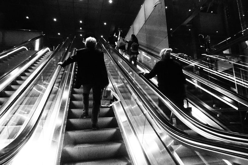 Die Reise nach oben von Artforyou  werk van Henk Adriani