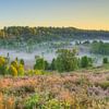 In the morning in the Lüneburger Heide by Michael Valjak