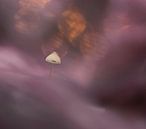 Herfstsprookje met paddenstoel van Birgitte Bergman thumbnail