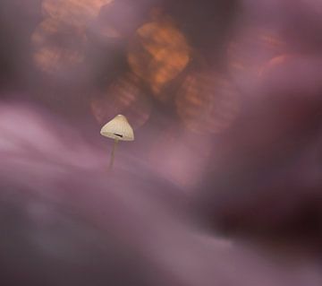 Herfstsprookje met paddenstoel van Birgitte Bergman