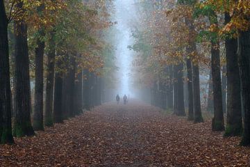 Hikers in the fog by Anges van der Logt
