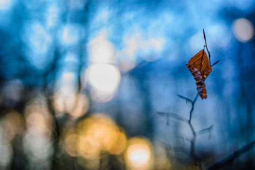 Hefstkleuren.06 (2x3)