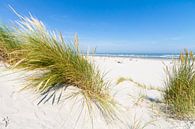 Strand, zee  en duinen Ameland van Nicole Nagtegaal thumbnail