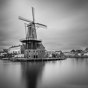 Mill the Adriaan in Schwarz und Weiß