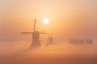Windmills in the fog