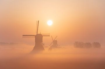 Windmills in the fog