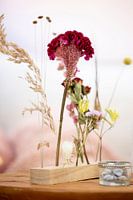 Zachte Bloei – Droogbloemen in Licht 4