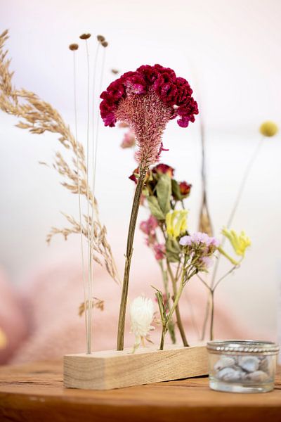 Zachte Bloei – Droogbloemen in Licht 4 van Annette Moerman