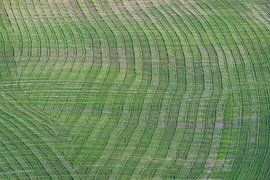 Crete Senesi by Walter G. Allgöwer